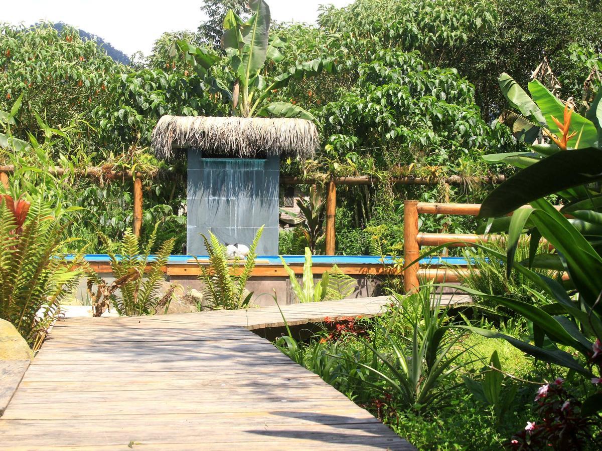 La Bicok Ecolodge Mindo Eksteriør bilde